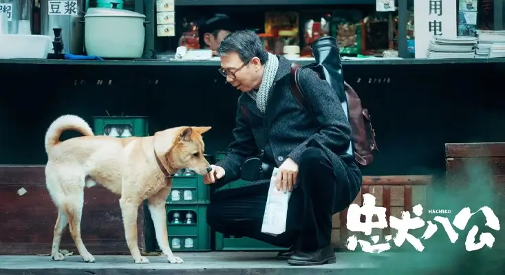 在美国打开淘股吧很慢怎么办示例